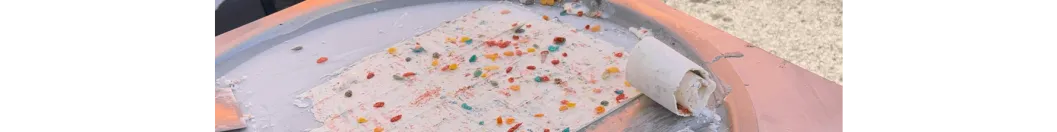 Twin Rolled Ice Cream, LLC